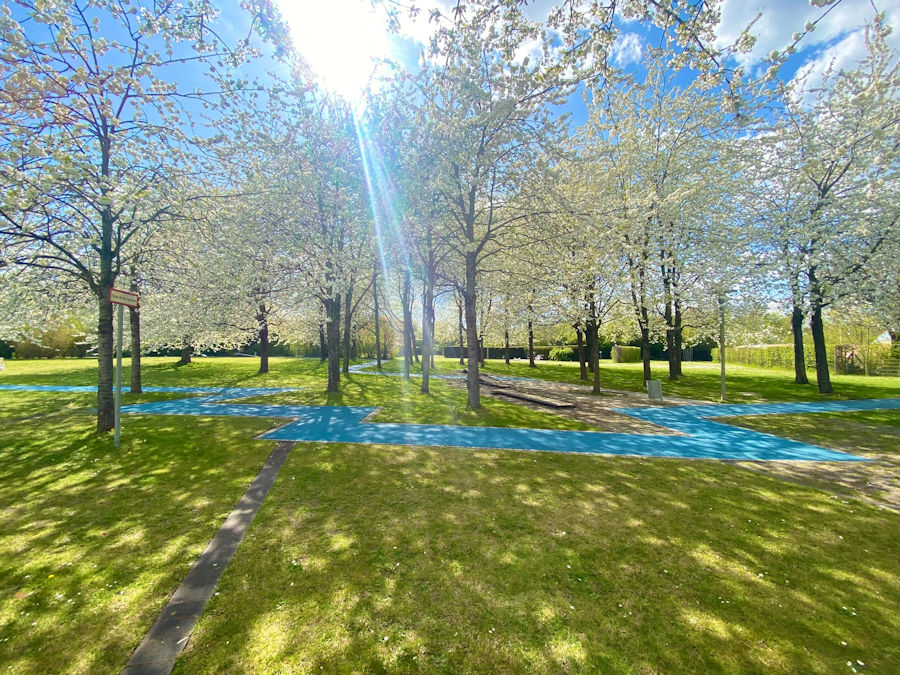 Blauer Weg im Aussenbereich umgeben von Bäumen im Sonnenschein Blauer Weg im Aussenbereich umgeben von Bäumen im Sonnenschein